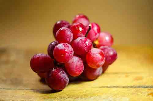 dogs-can-eat-grapes-and-raisins