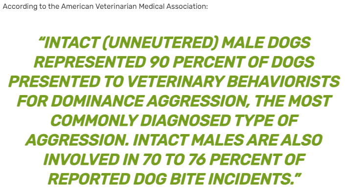 american veterinarian association dangerous dog facts